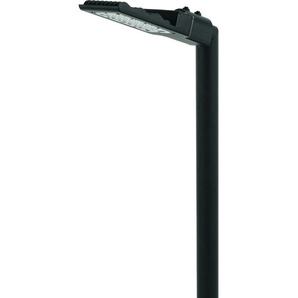 118 cm LED-Mastleuchte 1-flammig Samiyah