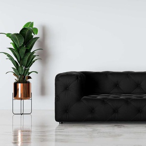 2-Sitzer PLACES OF STYLE FOLLINA Sofas Gr. B/H/T: 193cm x 71cm x 100cm, Samtvelours, schwarz 2-Sitzer Sofa mit klassischer Chesterfield-Knopfheftung