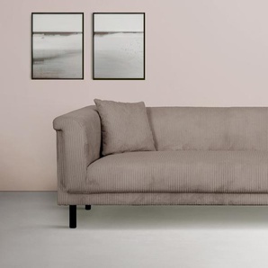 3-Sitzer INOSIGN AGNIA B/T/H: 210/85/71 cm Sofas Gr. B/H/T: 210cm x 71,5cm x 85cm, Cord, grau (taupe) incl. Zierkissen, auch in Cord und Bouclé