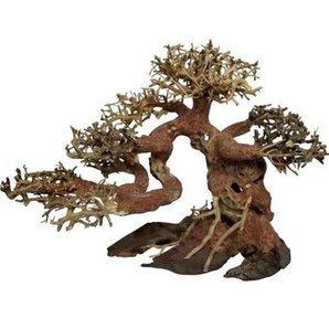 4FISH Bonsai tree roots 23x10x17 cm