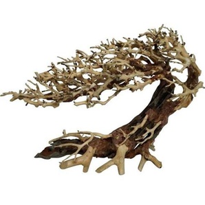 4FISH Tree roots Elegant Brazilian tree 23x10x17