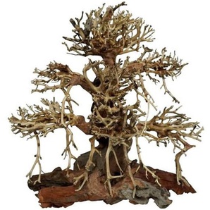 4FISH Tree roots Old Bonsai 20x12x20 cm