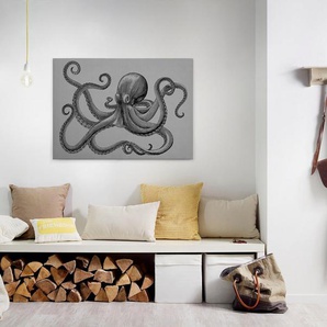 A.S. Création Leinwandbild jules, Kinder, Kunst, Tiere (1 St), Keilrahmen Bild Octopus Krake Leinwand-Bild Wohnzimmer modern Wandbild