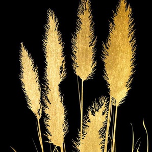 Acrylglasbild LEONIQUE Pampas Gras - Acrylbilder mit Blattgold veredelt Bilder Gr. B/H: 60 cm x 90 cm, Acrylglasbild mit Blattgold, 1 St., goldfarben (gold) Acrylglasbilder Goldveredelung, Handgearbeitet, Gerahmt, Edel