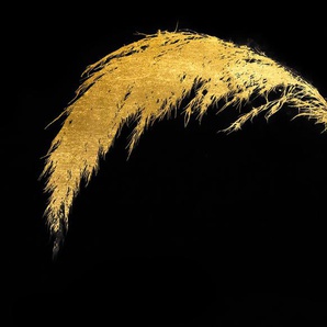 Acrylglasbild LEONIQUE Pampas Gras - Acrylbilder mit Blattgold veredelt Bilder Gr. B/H: 90 cm x 60 cm, Acrylglasbild mit Blattgold, 1 St., goldfarben (gold) Acrylglasbilder Goldveredelung, Handgearbeitet, Gerahmt, Edel