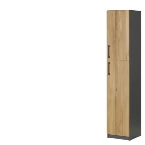 Aktenschrank  SOLIDLine ¦ grau ¦ Maße (cm): B: 40 H: 198,2 T: 40