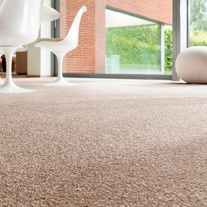 ANDIAMO Teppichboden Rubino Teppiche Breite 400 cm oder 500 cm, strapazierfähig & robust Gr. B: 500cm, 0,8mm, L: 400cm, braun (braun,beige)