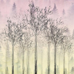 Architects Paper Fototapete Atelier 47 Trees Artwork 2, glatt, Wald, (4 St), Vlies, Wand, Schräge, Decke