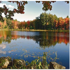 Artland Alu-Dibond-Druck Landschaft New England, Vier Jahreszeiten (1 St), für Innen- und Außenbereich geeignet, Outdoorbild