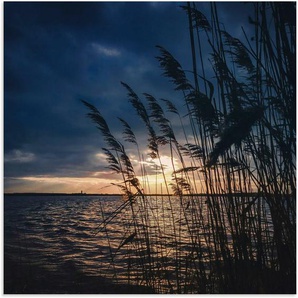 Artland Alu-Dibond-Druck Sonnenuntergang mit Schilf am See, Seebilder (1 St), für Innen- und Außenbereich geeignet, Outdoorbild