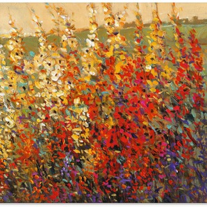 Artland Glasbild Feld mit Herbstblumen I, Blumenwiese (1 St), in verschiedenen Größen