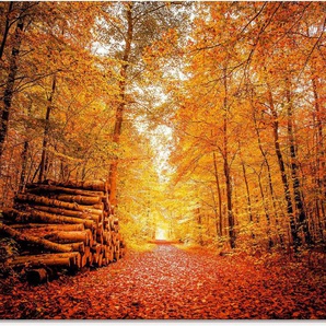 Artland Glasbild Herbstlandschaft, Vier Jahreszeiten (1 St), in verschiedenen Größen