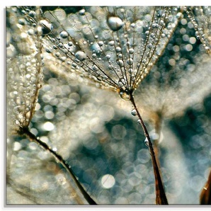 Artland Glasbild Pusteblume Regenschauer, Blumen (1 St), in verschiedenen Größen