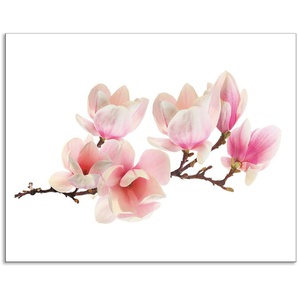 Artland Küchenrückwand Magnolie, (1-tlg), Alu Spritzschutz mit Klebeband, einfache Montage