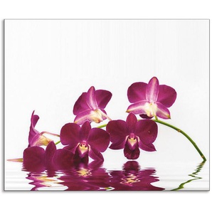 Artland Küchenrückwand Phalaenopsis Orchidee, (1-tlg), Alu Spritzschutz mit Klebeband, einfache Montage