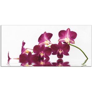 Artland Küchenrückwand Phalaenopsis Orchidee, (1-tlg), Alu Spritzschutz mit Klebeband, einfache Montage