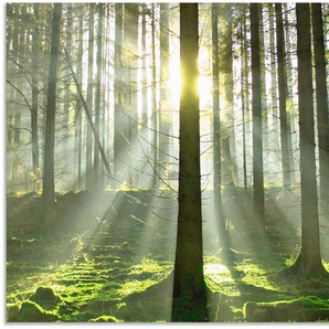 Artland Küchenrückwand Wald im Gegenlicht, (1-tlg), Alu Spritzschutz mit Klebeband, einfache Montage