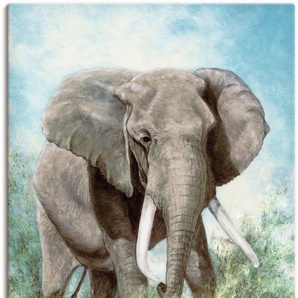 Artland Leinwandbild Elefant, Wildtiere (1 St), auf Keilrahmen gespannt