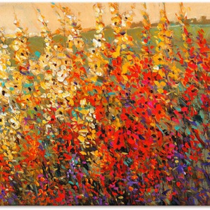 Artland Leinwandbild Feld mit Herbstblumen I, Blumenwiese (1 St), auf Keilrahmen gespannt