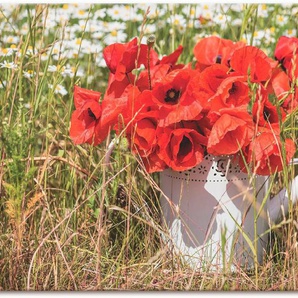 Artland Leinwandbild Mohnblüten im Feld, Blumenwiese (1 St), auf Keilrahmen gespannt