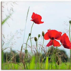 Artland Leinwandbild Mohnblumen I, Blumen (1 St), auf Keilrahmen gespannt