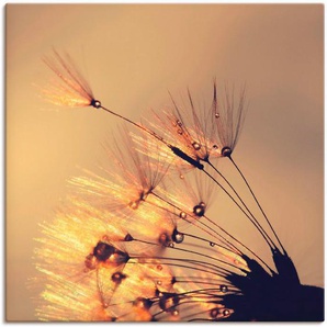 Artland Leinwandbild Pusteblume Goldene Schirmchen, Blumen (1 St), auf Keilrahmen gespannt