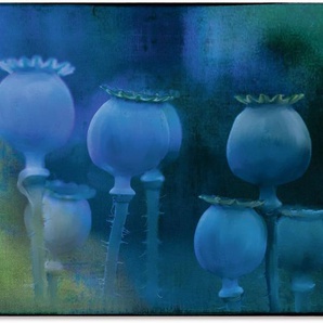 Artland Wandbild Blaumohn, Zen Bilder (1 St), als Alubild, Outdoorbild in verschied. Größen