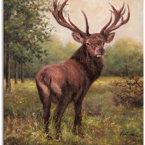 Artland Wandbild Hirsch, Wildtiere (1 St), als Leinwandbild, Poster, Wandaufkleber in verschied. Größen