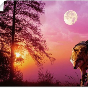 Artland Wandbild Wolf im Vollmond, Wolfbilder (1 St), als Alubild, Outdoorbild, Leinwandbild, Poster in verschied. Größen