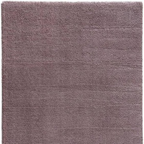 ASTRA Hochflor-Teppich New Livorno, rechteckig, Höhe: 30 mm, Kurzflor, Wohnzimmer