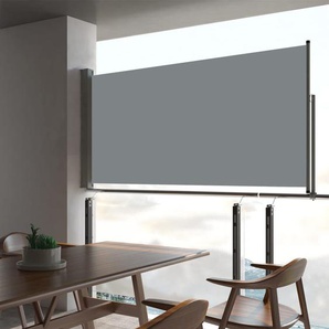 Ausziehbare Seitenmarkise 80×300 cm Grau