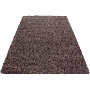 Ayyildiz Teppiche Hochflor-Teppich Dream Shaggy, rechteckig, Höhe: 50 mm, Wohnzimmer