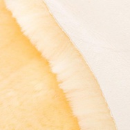 Banner-0