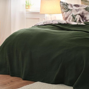 & Moebel | Bettüberwürfe Baumwolle Tagesdecken Preisvergleich 24 aus