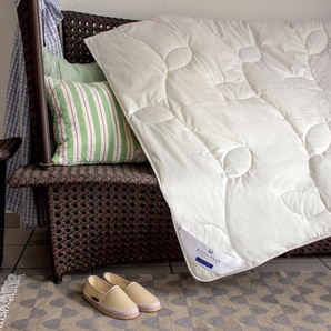Bettdecken 24 Polyester Moebel | aus Preisvergleich