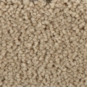 BODENMEISTER Teppichboden Pegasus, Velours - Uni Farben Teppiche Wohnzimmer, Schlafzimmer, Kinderzimmer, Breite 400500 cm Gr. B: 500cm, 10mm, L: 600cm, beige