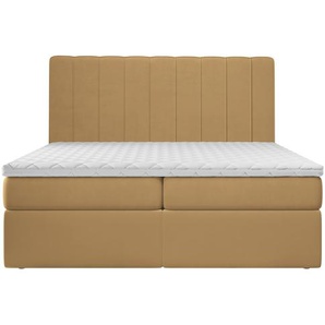 Boxspringbett Colum mit Topper und Bettkasten