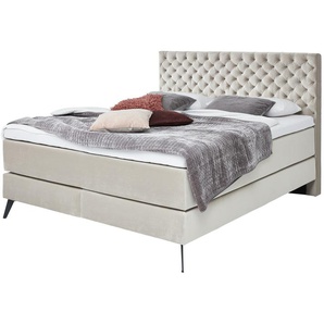 Boxspringbett  Cumberland ¦ beige ¦ Maße (cm): B: 202 H: 130 T: 211