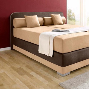 Boxspringbett MAINTAL Lago Komplettbetten Gr. Microvelours, Liegefläche B/L: 180 cm x 200 cm, Gewicht bis: 80 kg H2, 7-Zonen-Kaltschaummatratze, braun (cappucinofarben, braun) Boxspringbett Boxspringbetten ohne Bettkasten in 3 verschiedenen