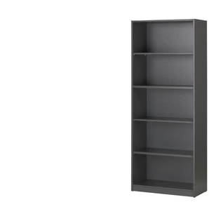 Büroregal  SOLIDLine ¦ grau ¦ Maße (cm): B: 80 H: 198,2 T: 40