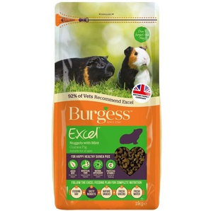 Burgess Excel Guinea Pig 10kg Mint