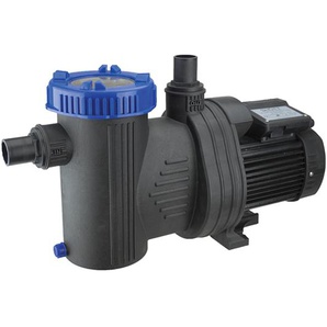 BWT Pool pump WP19000