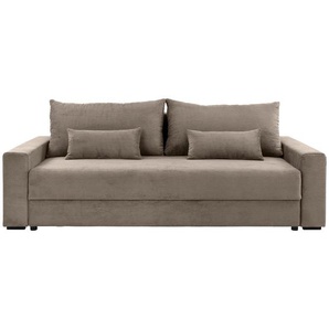 Carryhome Schlafsofa, Taupe, Textil, 2-Sitzer, Füllung: Schaumstoff, Silikon,Schaumstoff, Silikon, 233x92x108 cm, Liegefunktion, Rücken echt, haustierfreundlicher Bezug, Wohnzimmer, Sofas & Couches, Schlafsofas, Schlafsofas mit Bettkasten