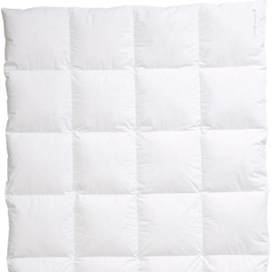 Daunenbettdecke CENTA-STAR Nordic Bettdecken Gr. B/L: 155 cm x 220 cm, e x trawarm, weiß Allergiker Bettdecke hochwertiges Naturprodukt mit hervorragendem Wärmevermögen