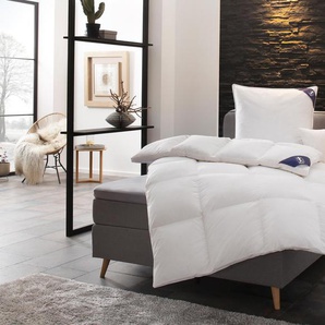 Bettdecken online -75% | 24 Möbel kaufen Rabatt bis
