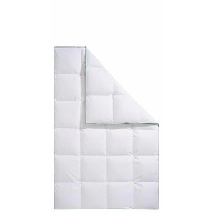 Daunenbettdecke FJÖDUR Fee Bettdecken Gr. B/L: 240 cm x 220 cm, warm, weiß Allergiker Bettdecke