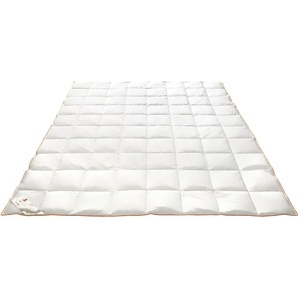 Daunenbettdecke FRAU HOLLE Ava Bettdecken Gr. B/L: 200 cm x 200 cm, leicht, weiß Allergiker Bettdecke hoher Schlafkomfort in 4 Wärmeklassen