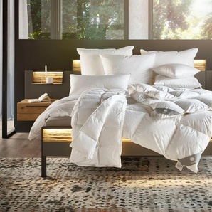 Daunenbettdecke MUSTERRING Dreamz Bettdecken Gr. B/L: 155 cm x 200 cm, normal, weiß Allergiker Bettdecke