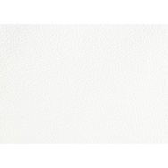 Banner-0