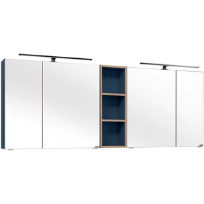 Dieter Knoll Spiegelschrank, Metall, 8 Fächer, 185x70.3x17.3 cm, Made in Germany, Soft-Close-System, Badezimmer, Badezimmerspiegel, Spiegelschränke